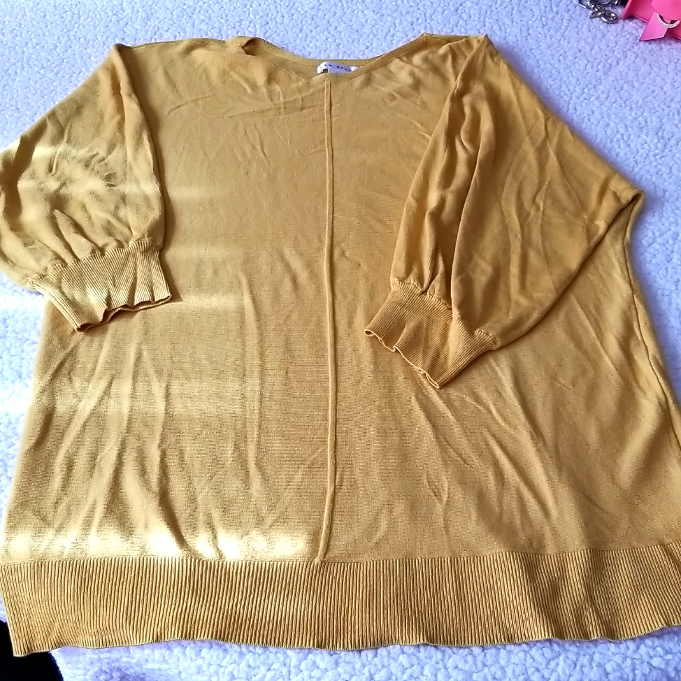 Max Studio Brand Ladies Top